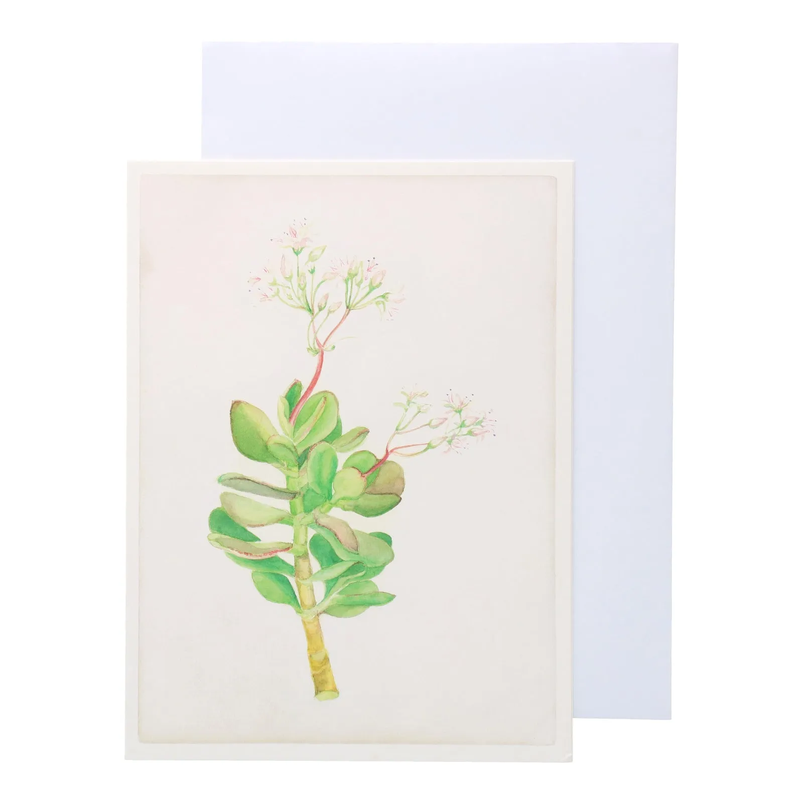 Floral Botanical Gift Card