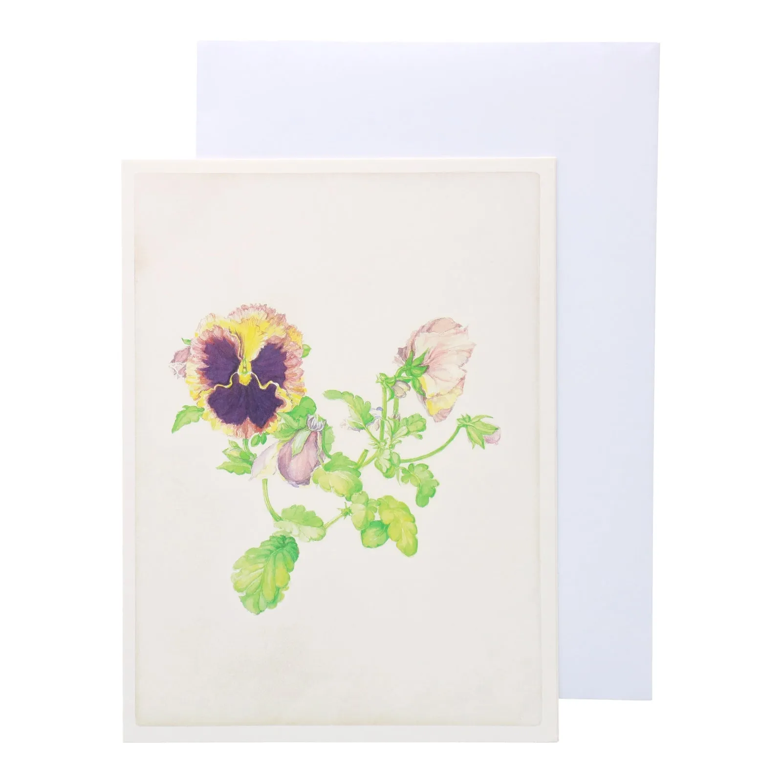 Floral Botanical Gift Card