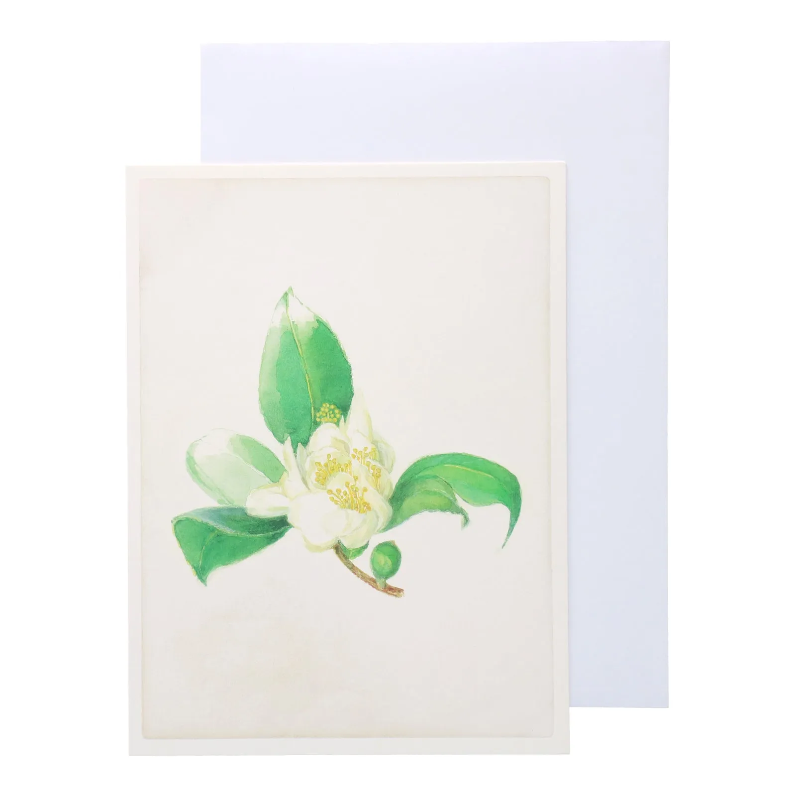 Floral Botanical Gift Card