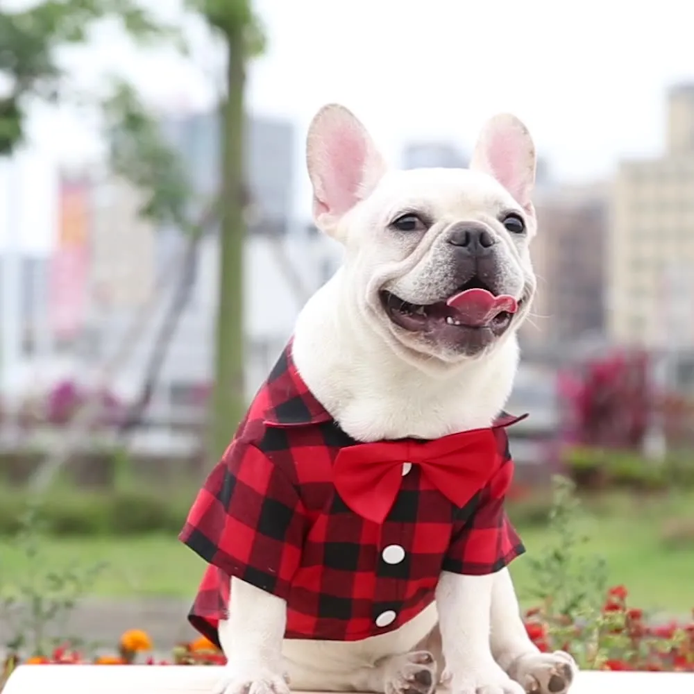 Matching Family Outfit - Plaid Shirts for Mummy, Daddy, Baby and Pet