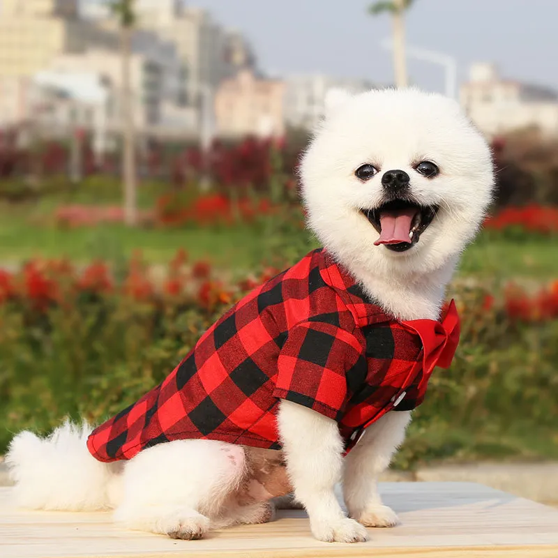 Matching Family Outfit - Plaid Shirts for Mummy, Daddy, Baby and Pet